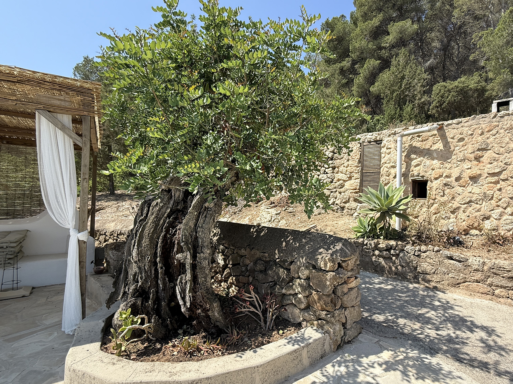 Resa Estates Ibiza koop  finca sale san augustin exterior 2.jpeg